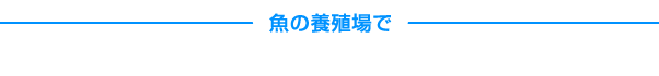 魚の養殖場で